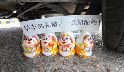 震惊！学员练车撞了4只奶狗！白云驾校这波要火了！#反转