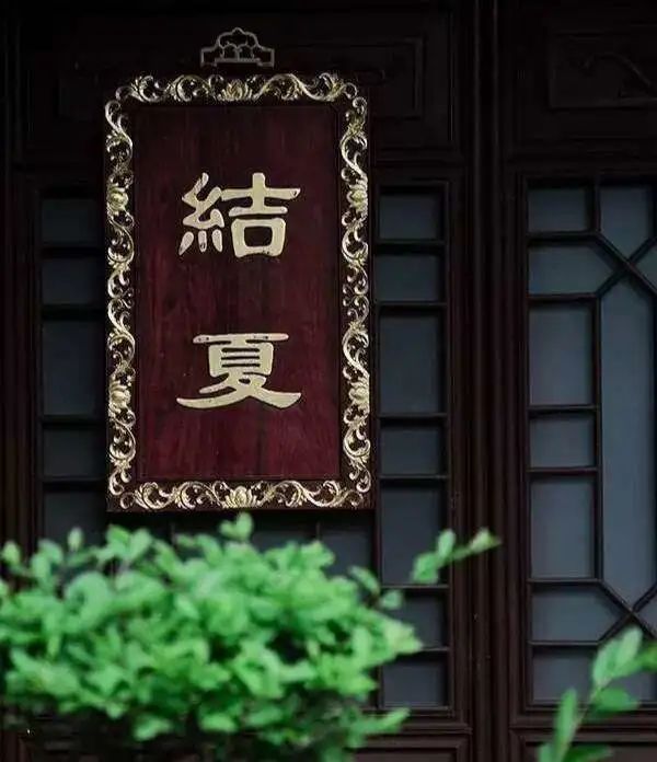 结夏安居 | 共筑清凉